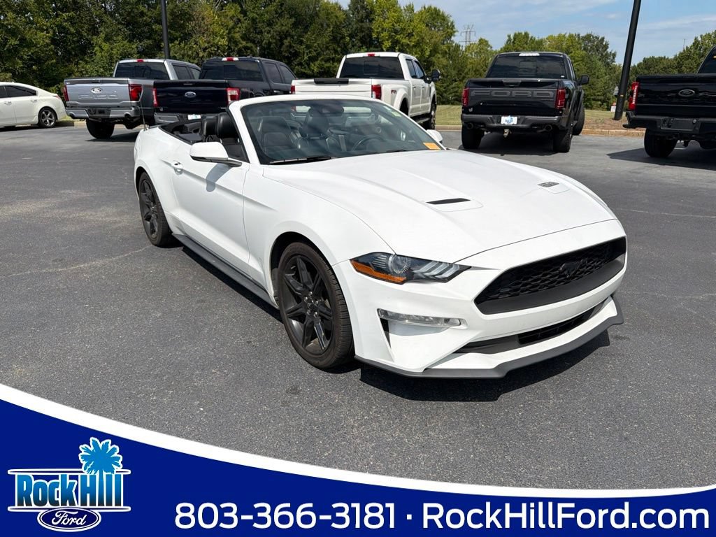 Used 2019 Ford Mustang Premium w/ Equipment Group 201A