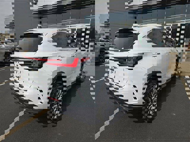 New 2026 Lexus NX 350h AWD w/ Premium Package image 3