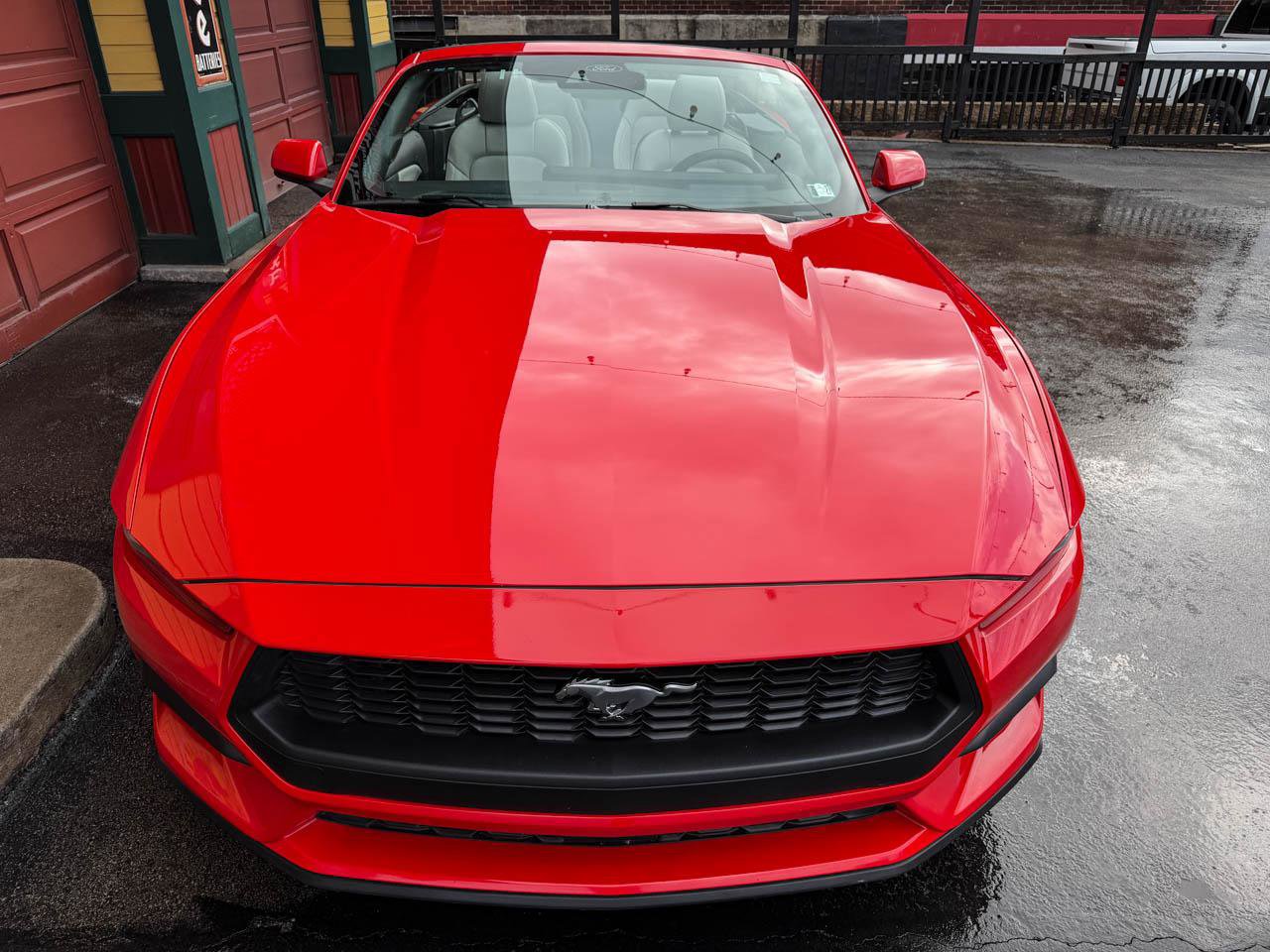 Used 2024 Ford Mustang Premium image 17