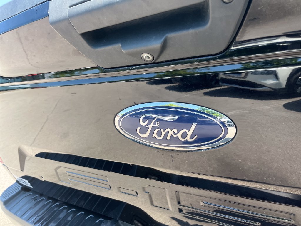 Used 2019 Ford F150 XLT w/ Equipment Group 302A Luxury AWD/4WD image 42