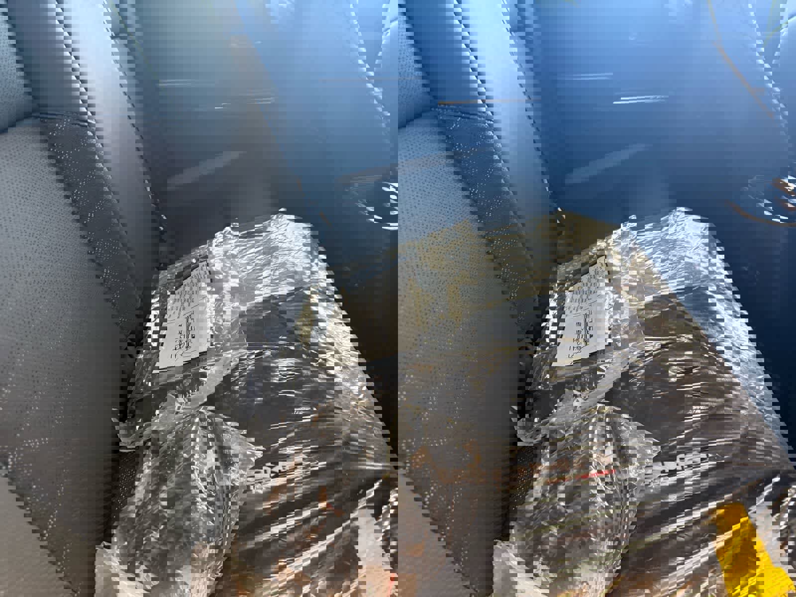 Used 2025 Toyota Tacoma TRD Off-Road w/ TRD Off Road Premium Package AWD/4WD image 6