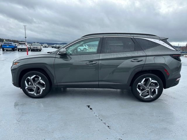Used 2024 Hyundai Tucson Limited image 6