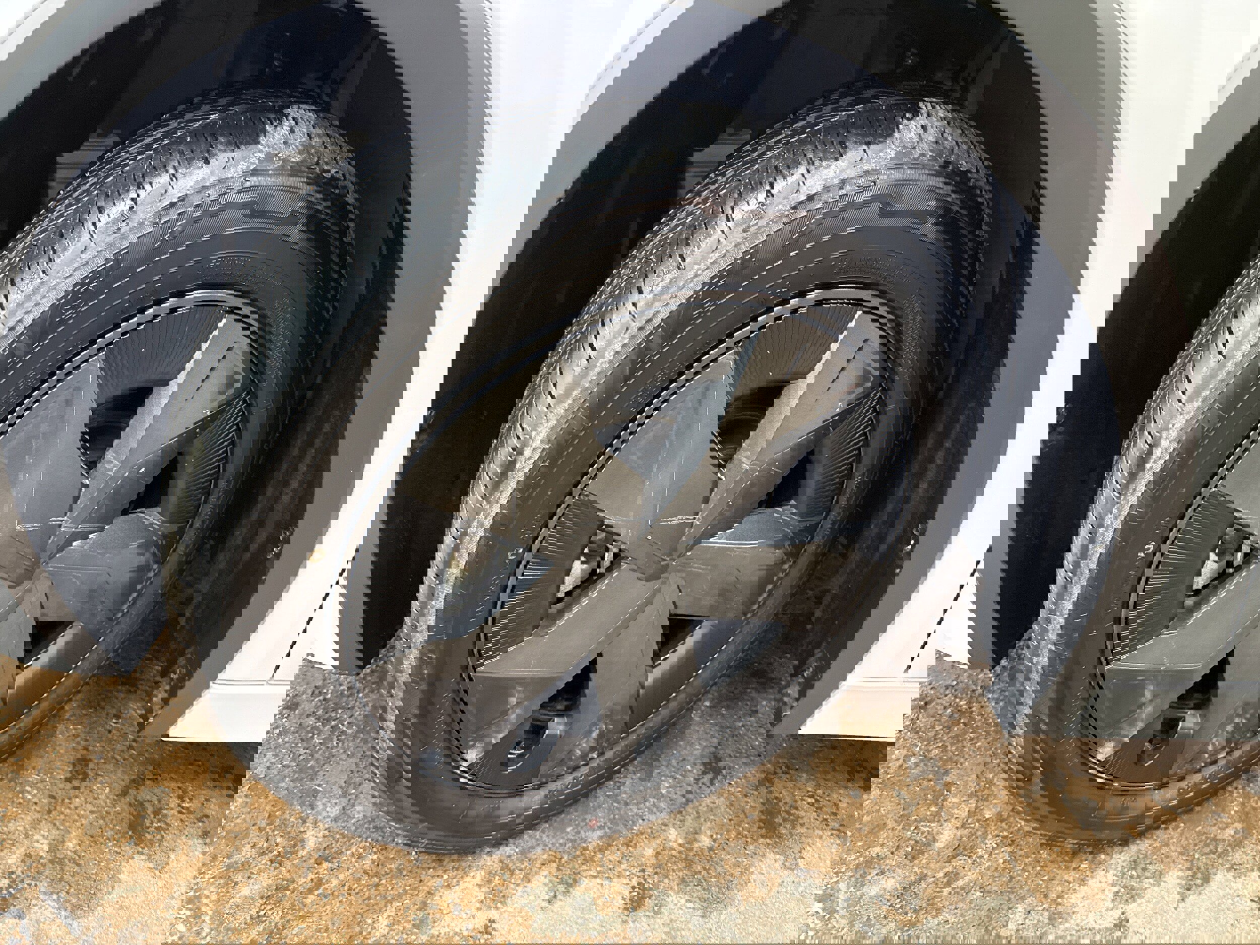 Used 2025 Toyota Prius SE image 4