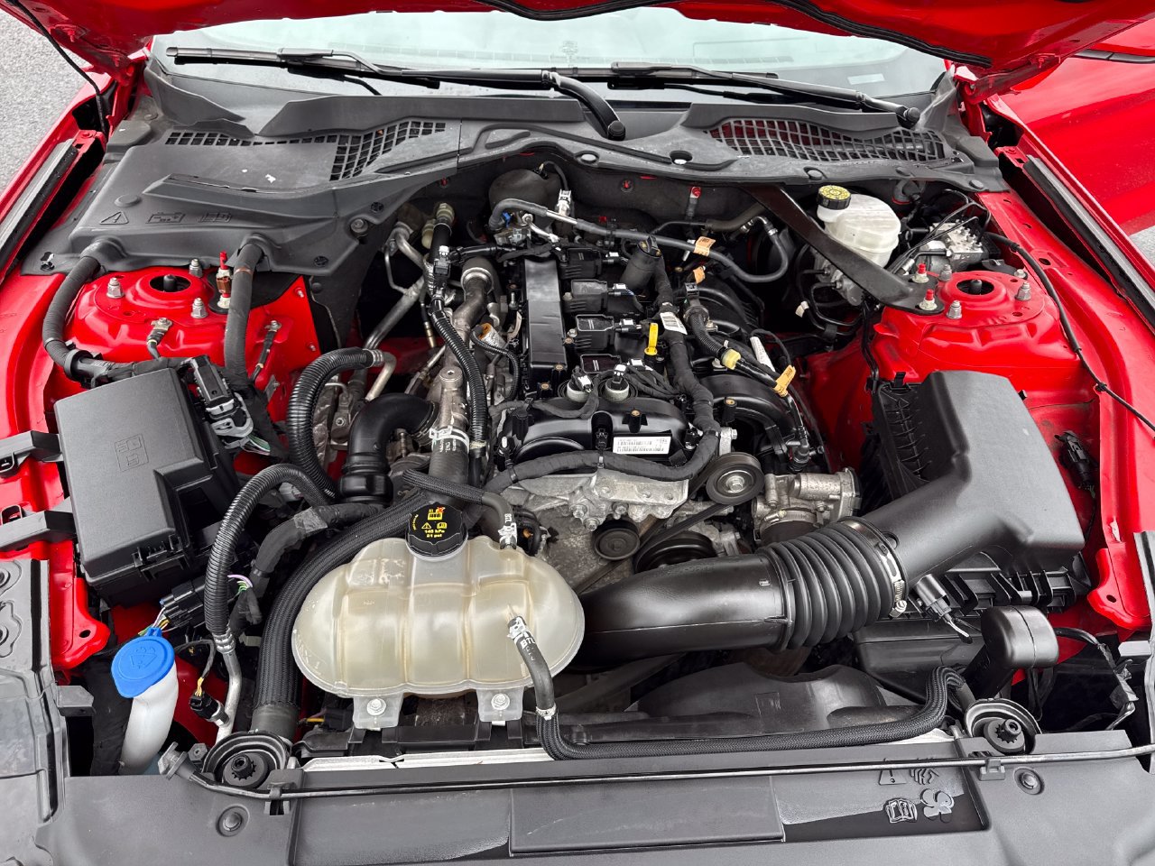 Used 2022 Ford Mustang Convertible RWD image 12