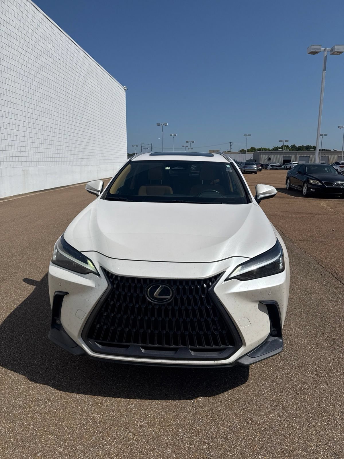 Certified 2023 Lexus NX 350 AWD image 14