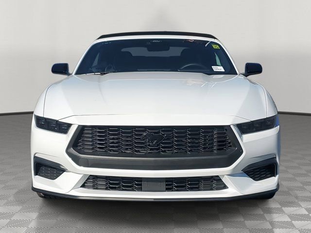 Used 2026 Ford Mustang EcoBoost w/ Mustang Nite Pony Package image 2