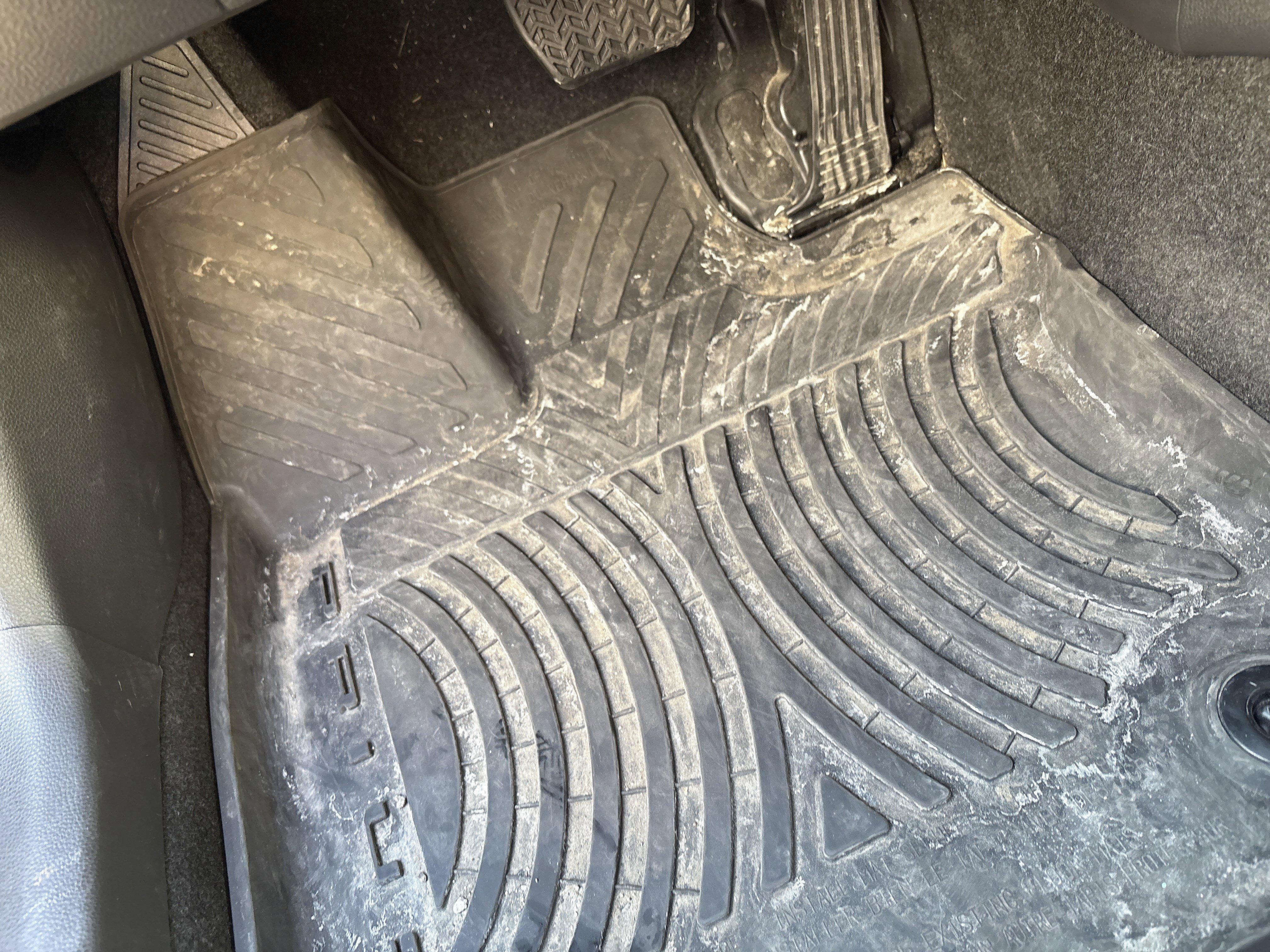 Used 2024 Toyota Prius XLE image 17