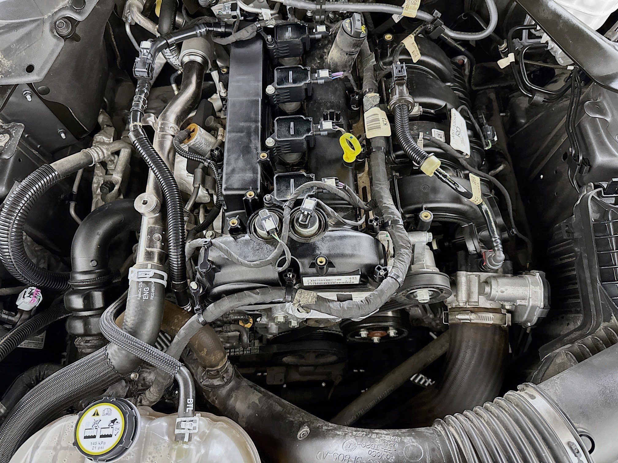 Used 2021 Ford Mustang EcoBoost w/ Equipment Group 101A image 33