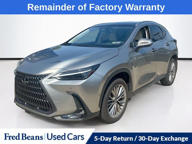 Used 2025 Lexus NX 350h AWD w/ Accessory Package (2T) image 3