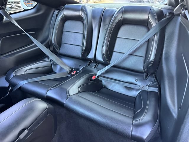 Used 2019 Ford Mustang Premium w/ Equipment Group 201A RWD image 14
