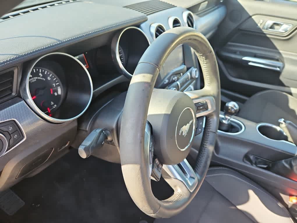 Used 2019 Ford Mustang GT w/ Equipment Group 301A RWD image 10