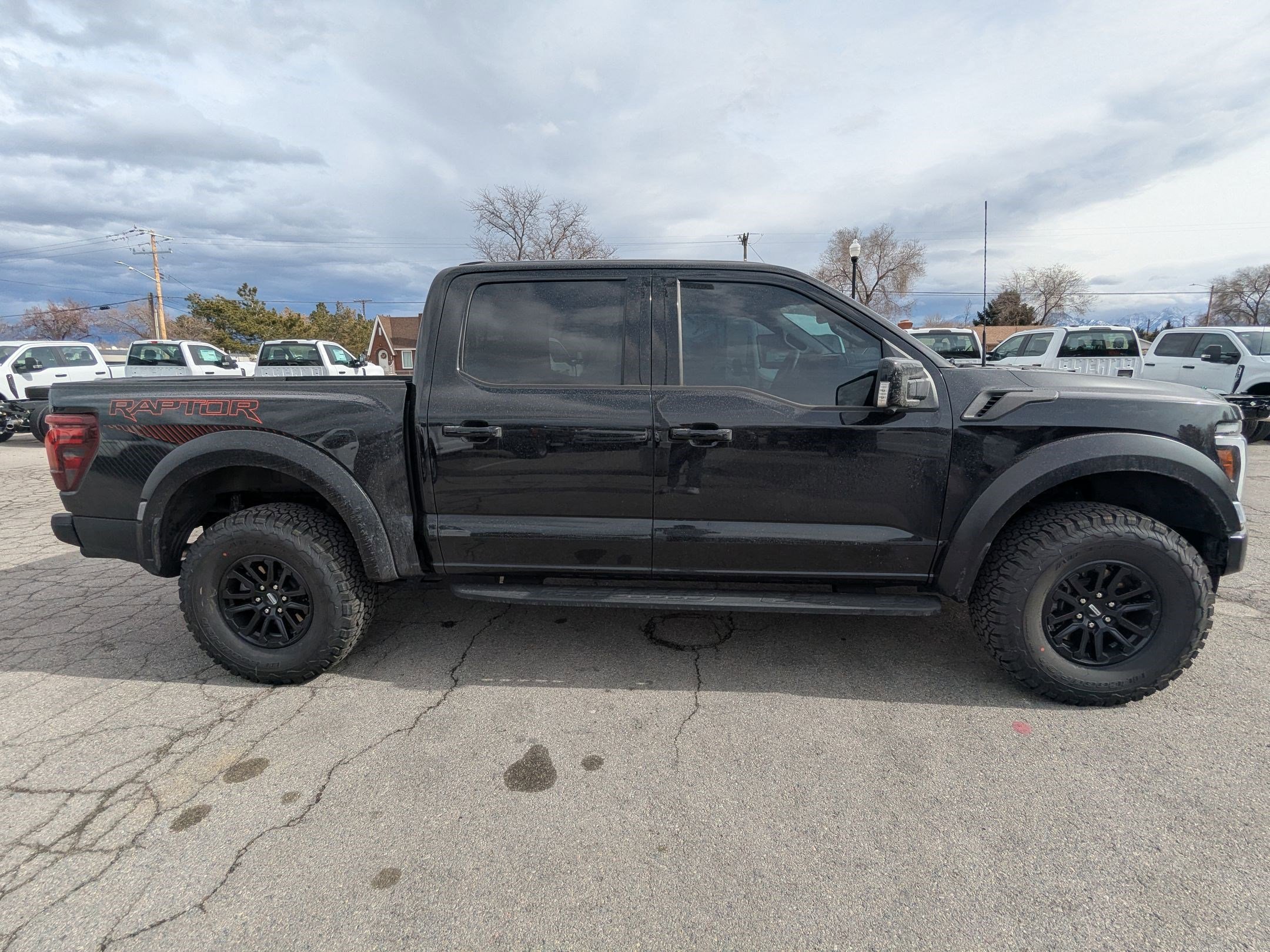Used 2025 Ford F150 Raptor image 2