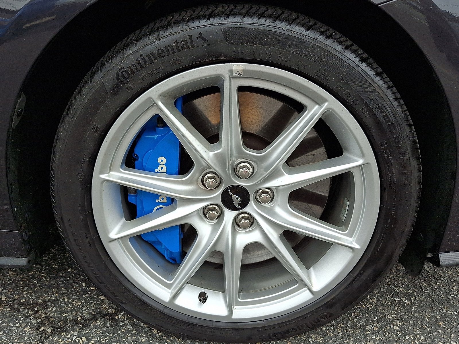 Certified 2024 Ford Mustang GT Premium image 8