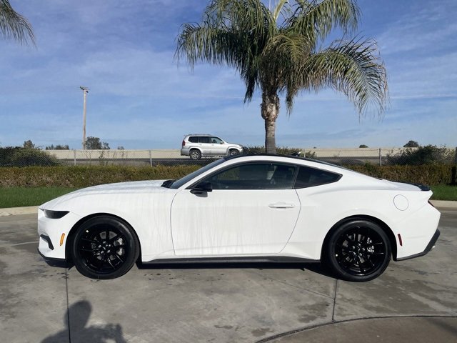 New 2026 Ford Mustang Coupe image 2