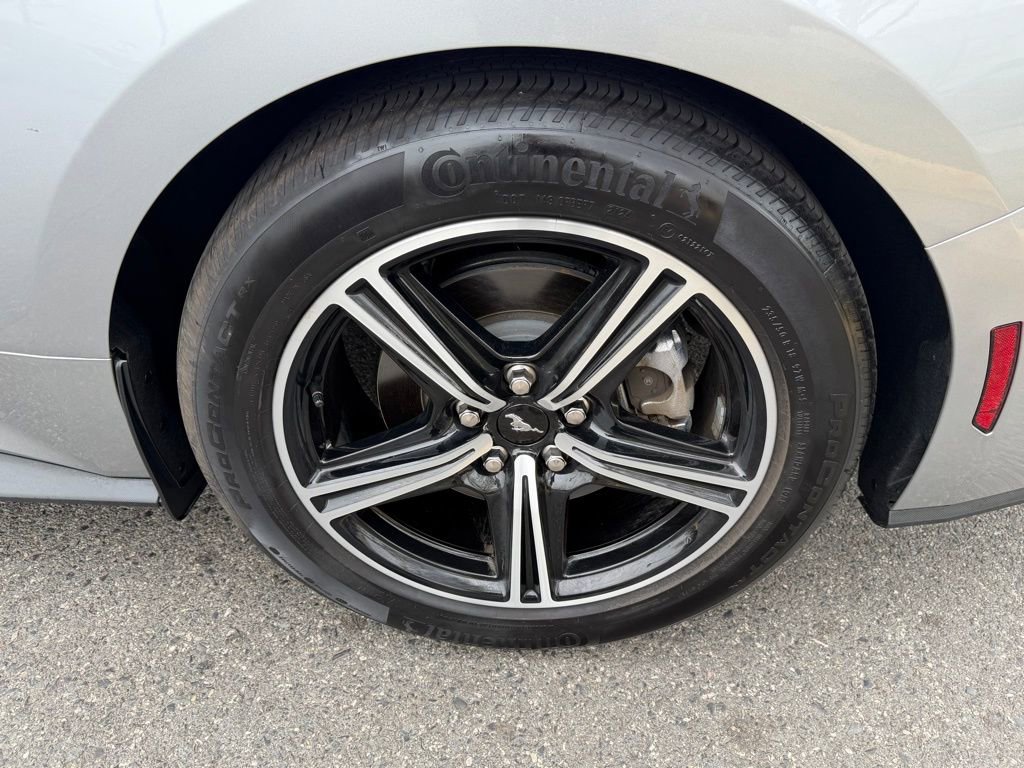 Used 2024 Ford Mustang Premium image 13