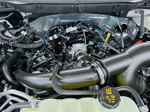 Used 2025 Ford F150 STX w/ Equipment Group 200A image 28