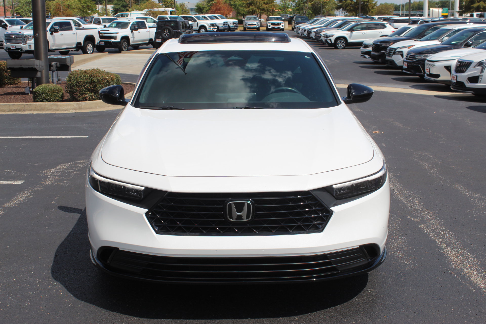 Used 2025 Honda Accord Sport image 3