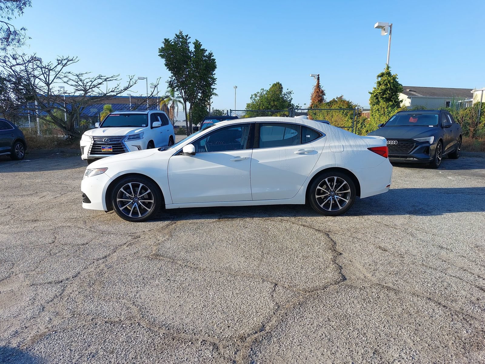 Used 2015 Acura TLX w/ Advance Package FWD image 8