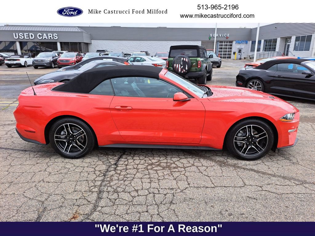 Used 2023 Ford Mustang Premium image 6