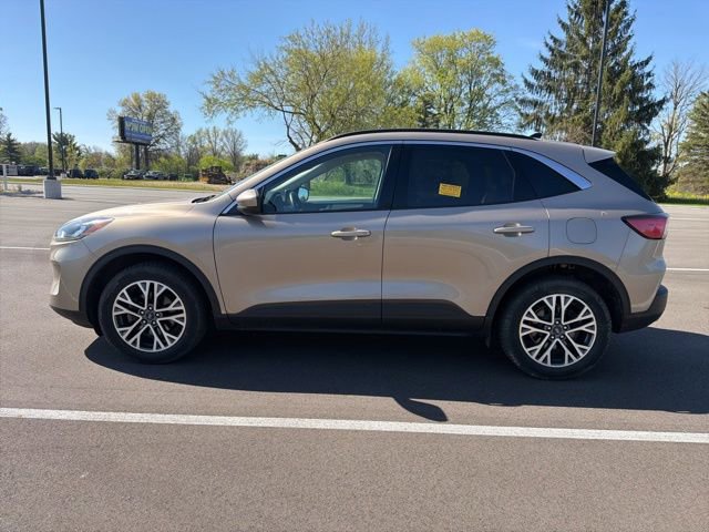 Used 2020 Ford Escape SEL AWD/4WD image 3