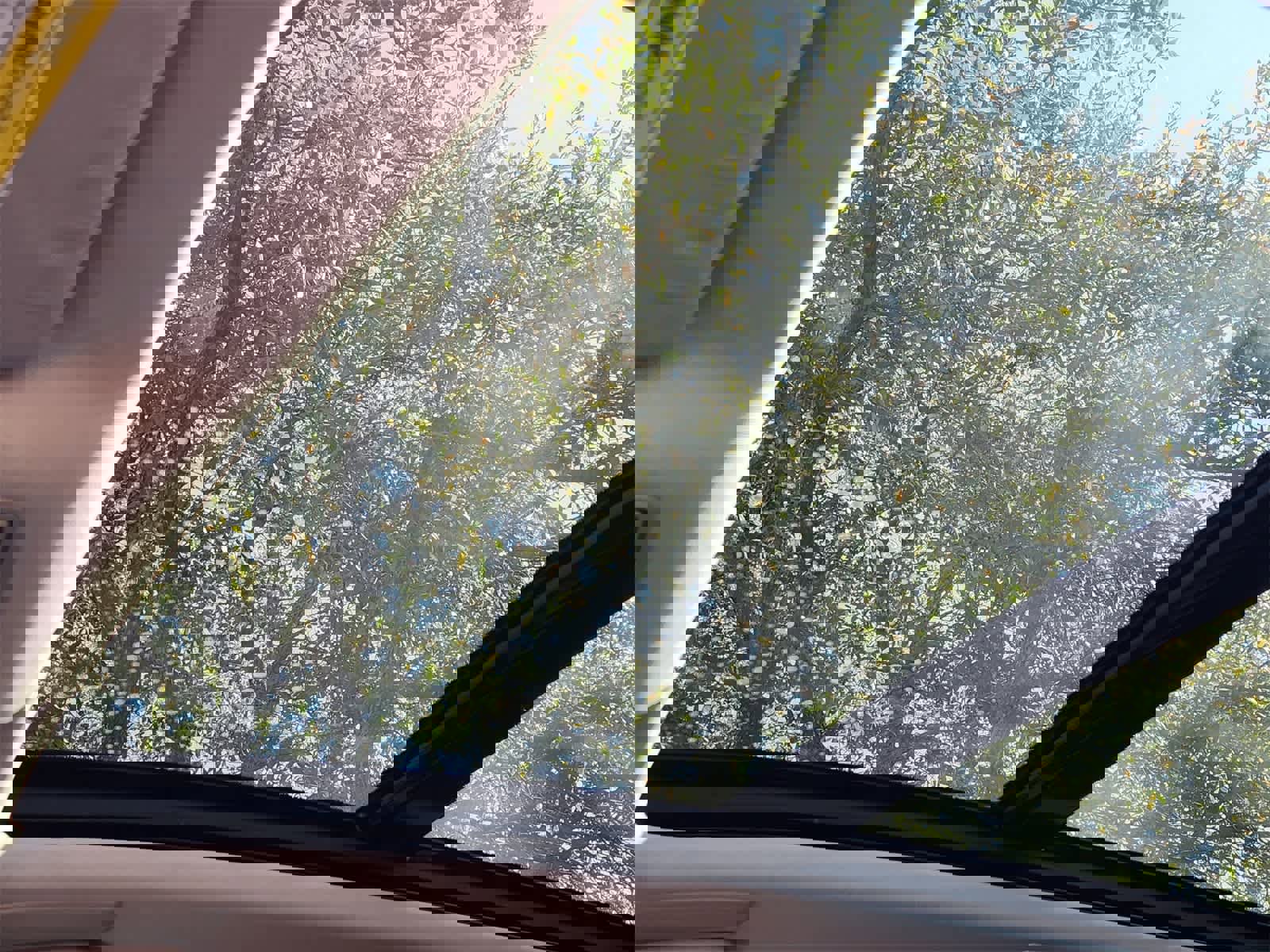 Used 2019 Acura RDX FWD w/ Technology Package image 23