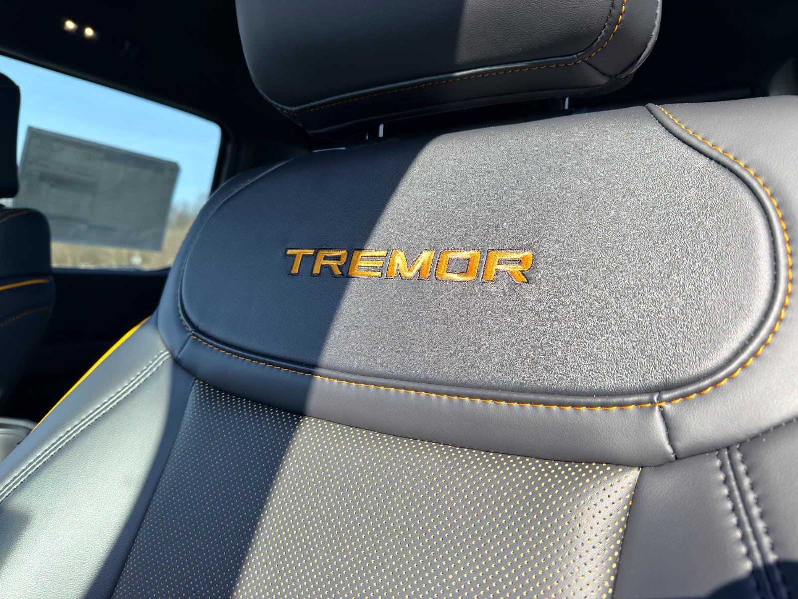 New 2025 Ford F150 Tremor w/ Equipment Group 402A High image 13