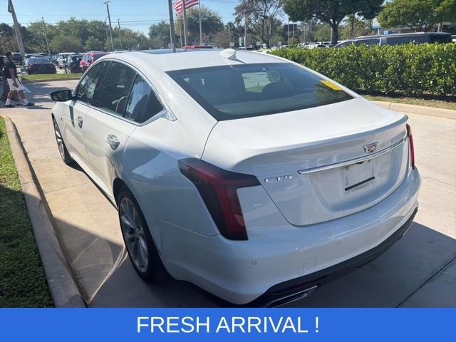 Used 2023 Cadillac CT5 Premium Luxury w/ Climate Package image 13