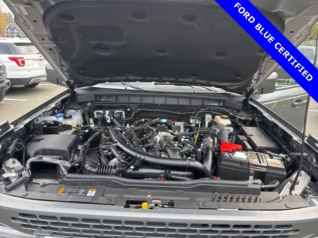 Certified 2024 Ford Bronco Badlands image 14