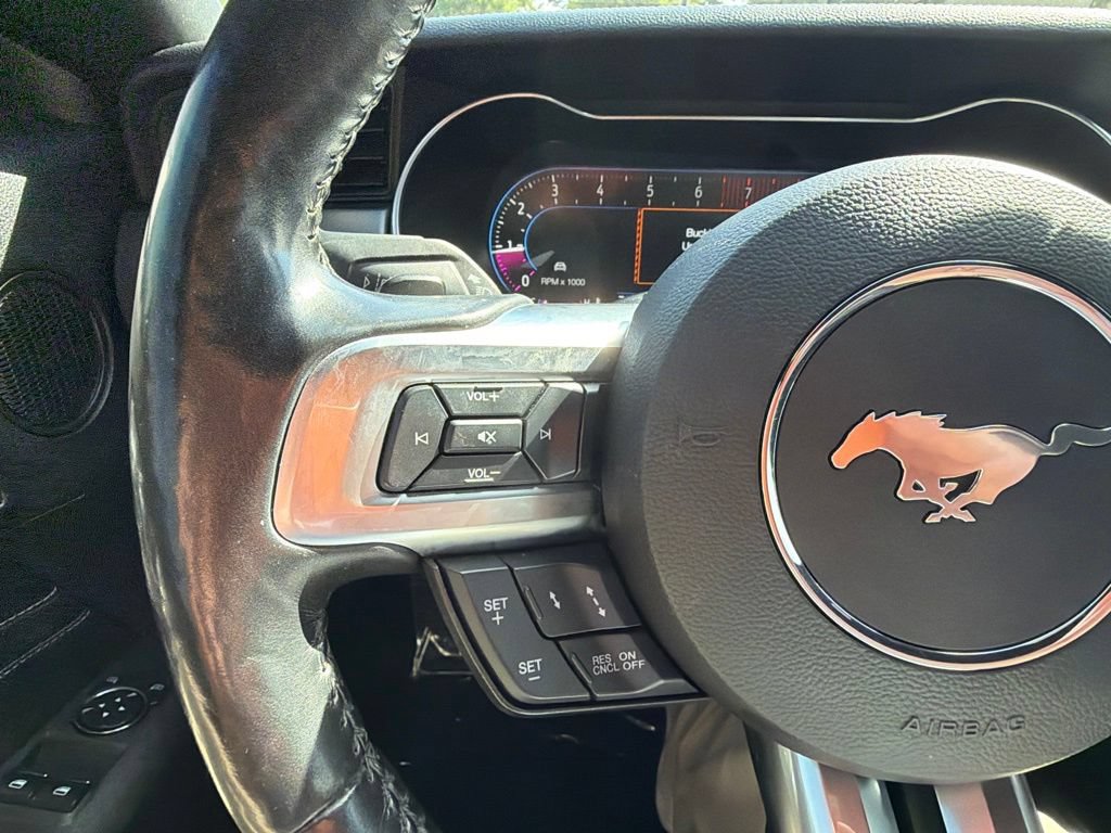 Used 2019 Ford Mustang Premium w/ Equipment Group 201A RWD image 6