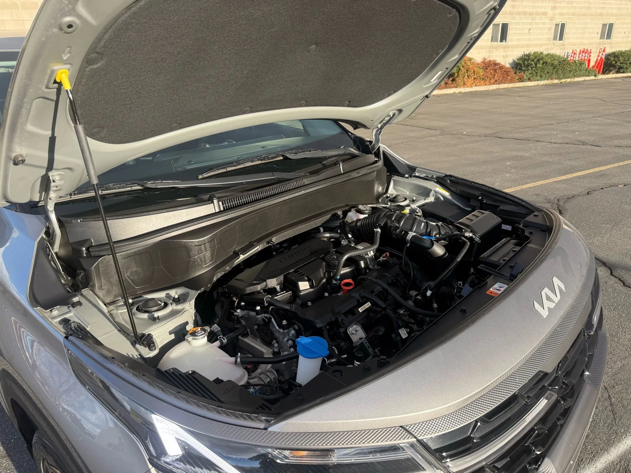 Used 2024 Kia Seltos X-Line image 26