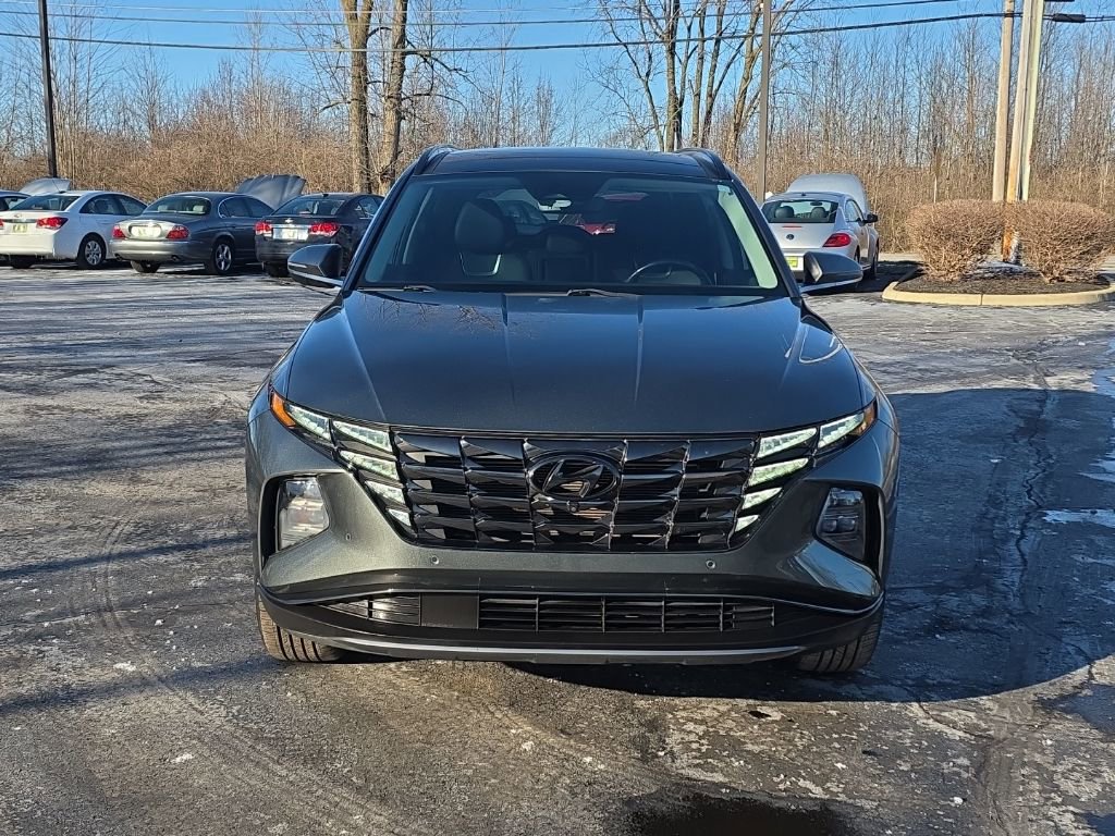 Used 2022 Hyundai Tucson Limited image 2