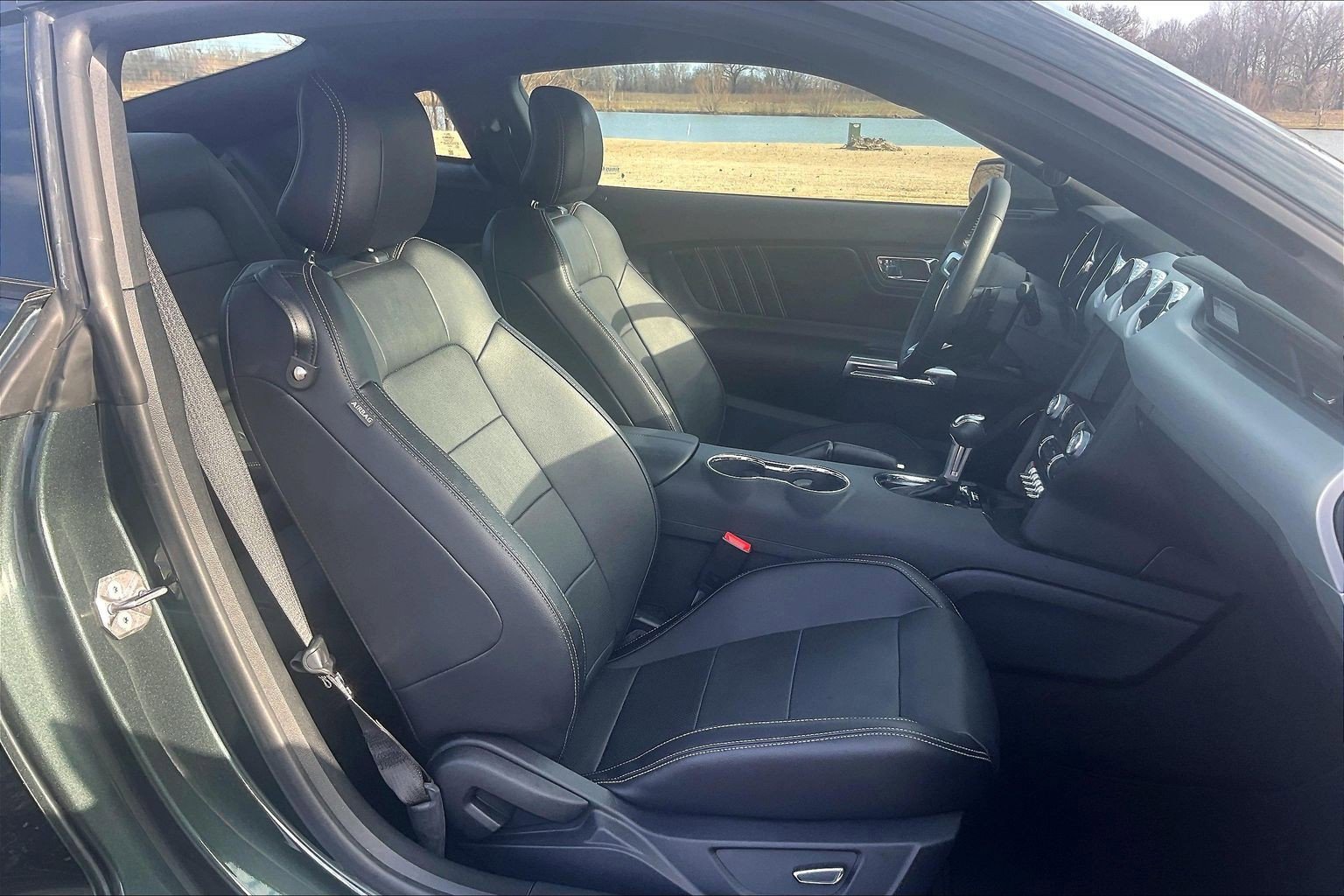 Used 2015 Ford Mustang GT Premium w/ Equipment Group 401A image 8