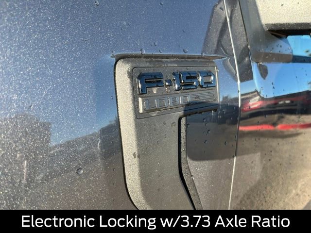 New 2025 Ford F150 STX w/ LOBO Package image 11