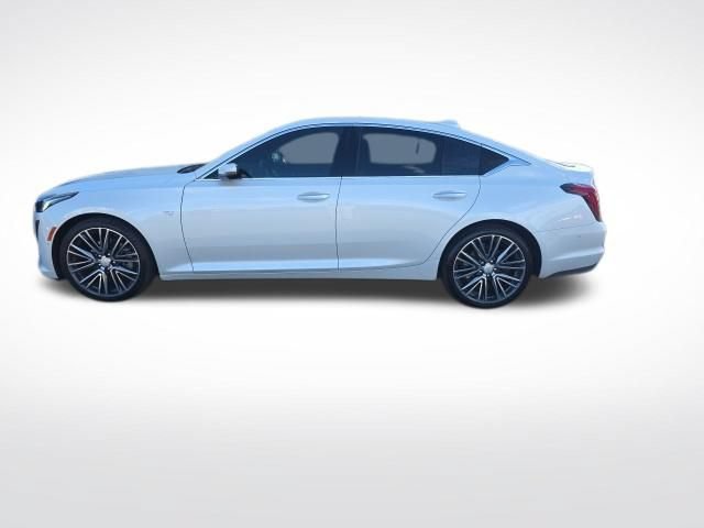 Used 2024 Cadillac CT5 Premium Luxury w/ Platinum Package AWD/4WD image 8