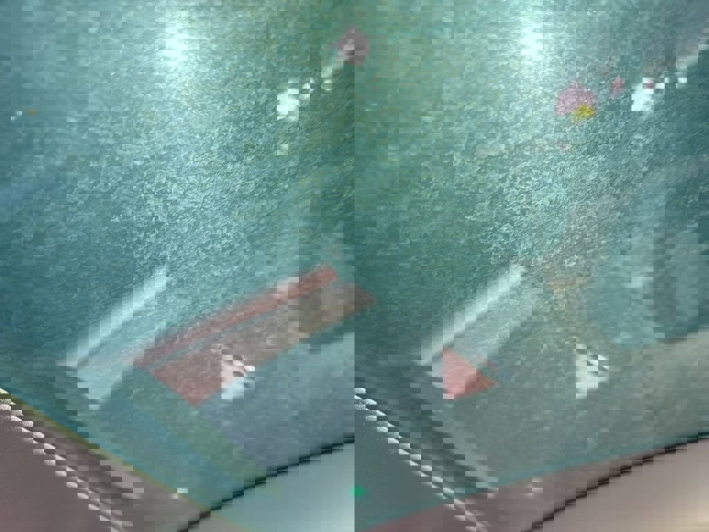 Used 2020 Tesla Model 3 Standard Range Plus image 10