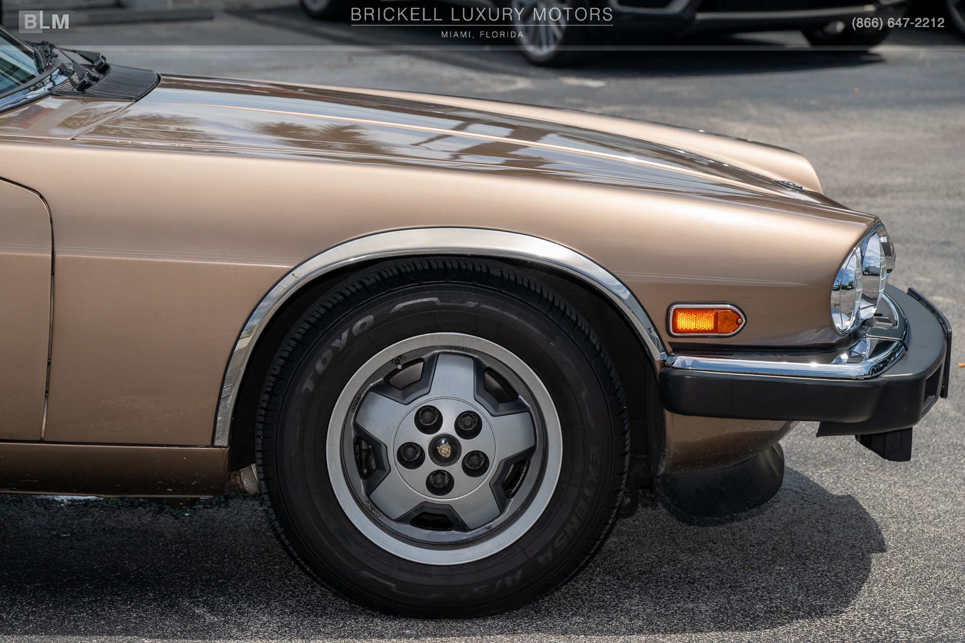 Used 1987 Jaguar XJS V12 Coupe RWD image 44