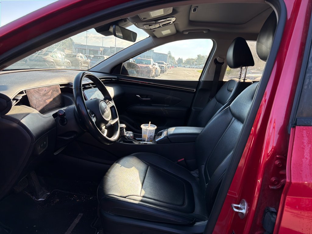 Used 2023 Hyundai Tucson SEL w/ Convenience Package AWD/4WD image 10