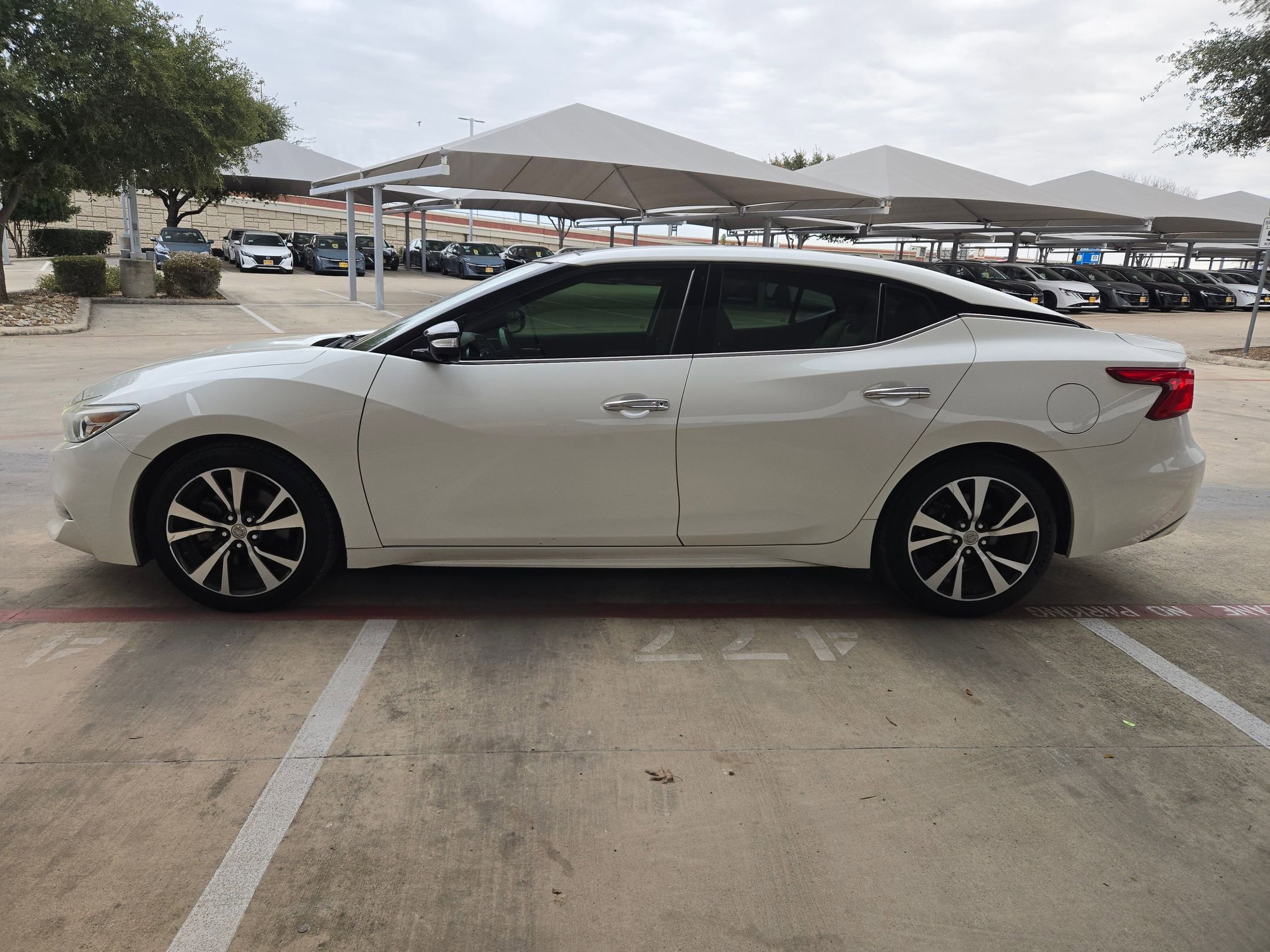 Used 2017 Nissan Maxima Platinum image 6