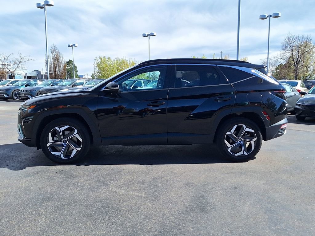 Certified 2024 Hyundai Tucson Limited image 6