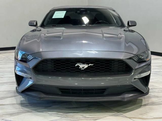 Used 2022 Ford Mustang EcoBoost image 53