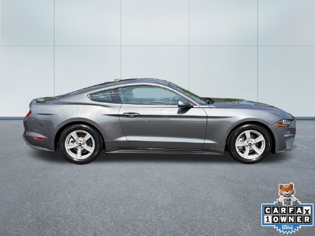 Used 2022 Ford Mustang Coupe RWD image 2
