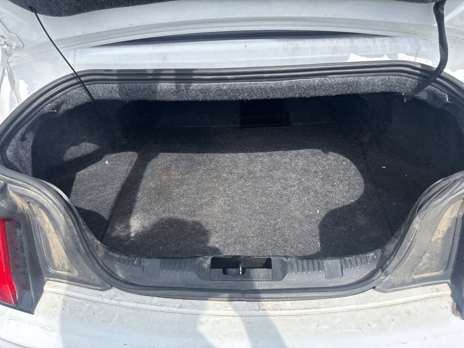 Used 2019 Ford Mustang Premium image 14