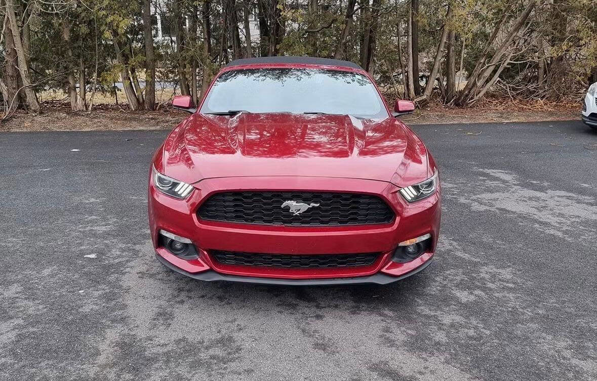 Used 2016 Ford Mustang Premium image 1
