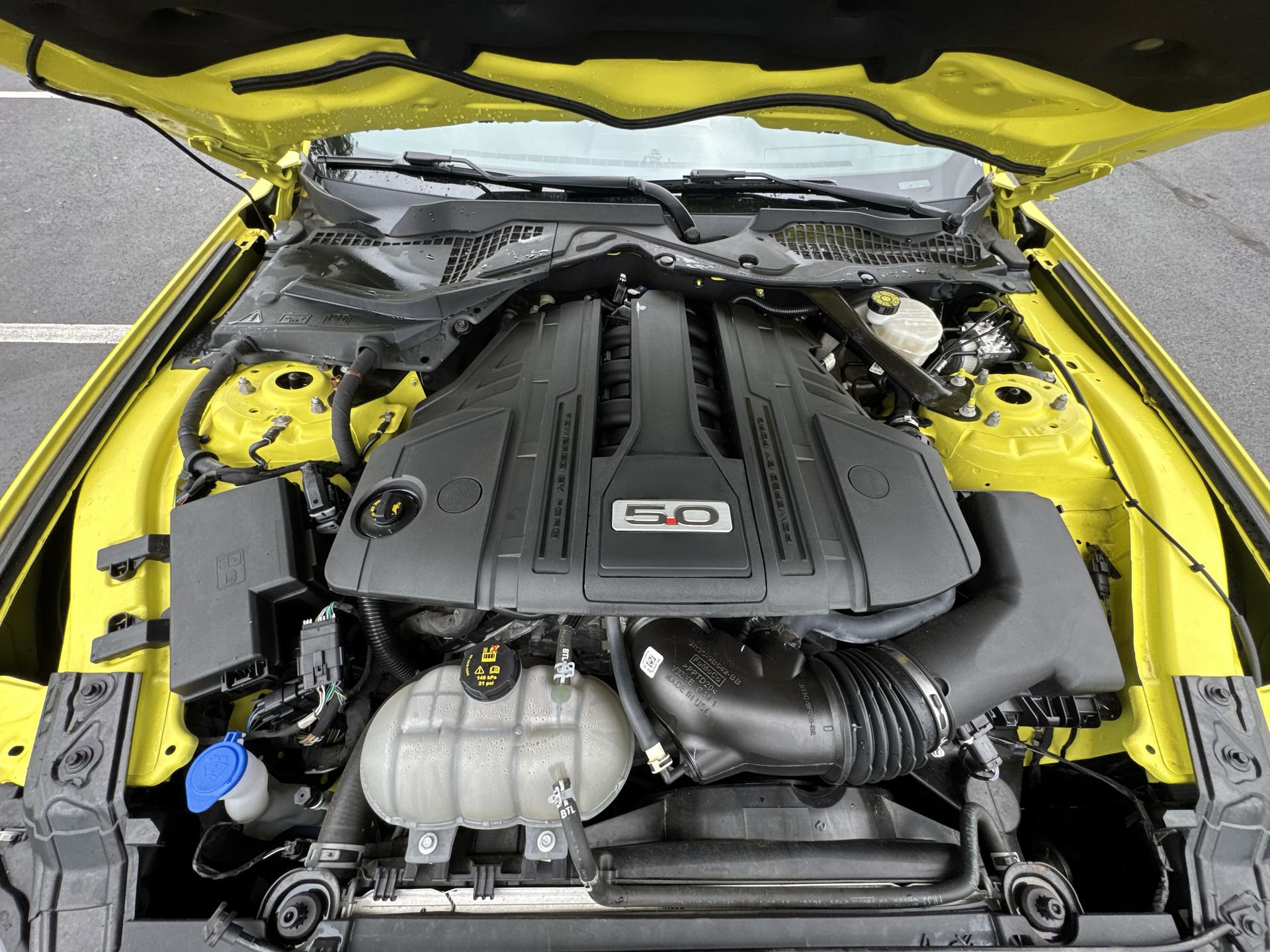Used 2021 Ford Mustang GT Premium w/ Ford Safe & Smart Package RWD image 27