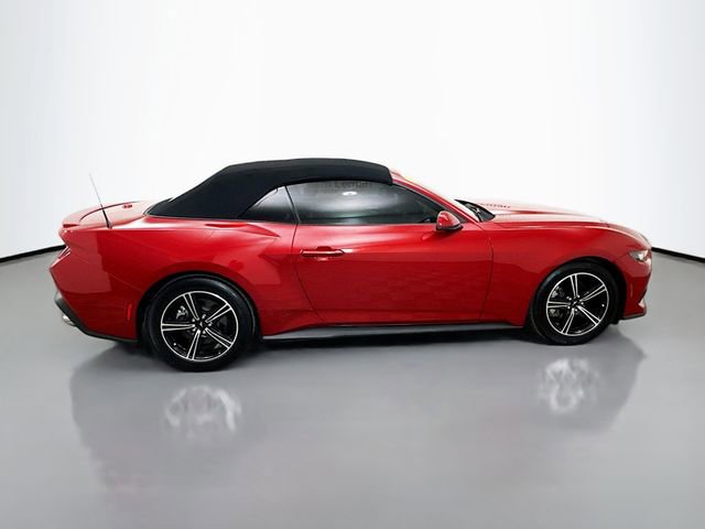 Used 2024 Ford Mustang Premium image 8