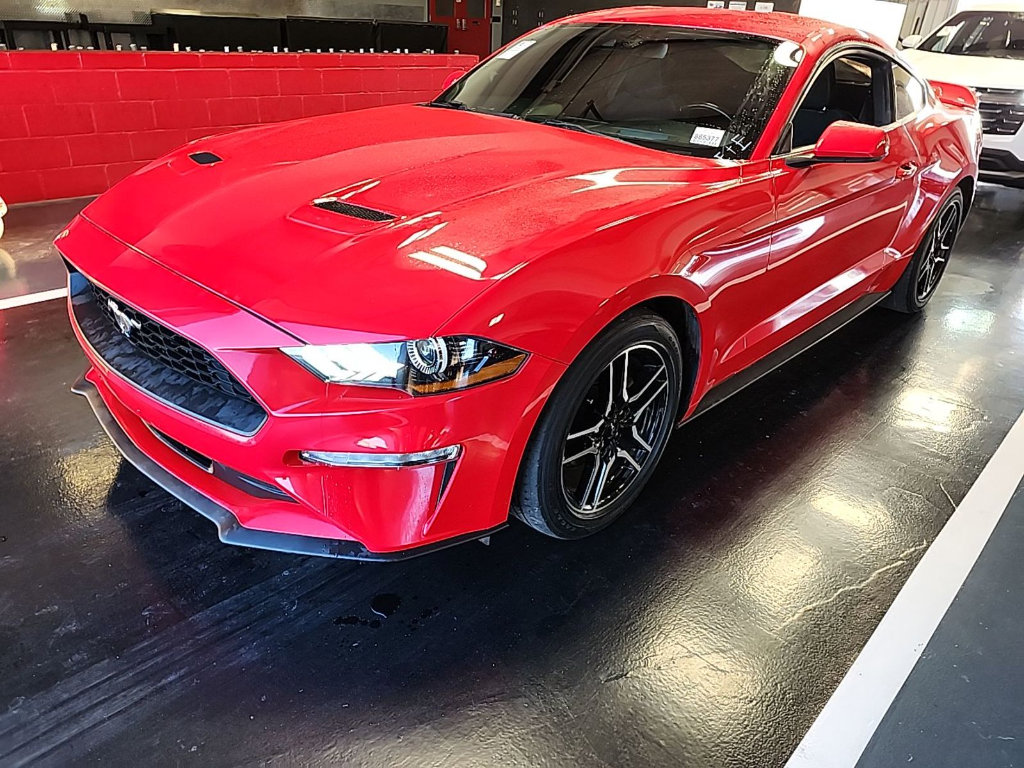Used 2019 Ford Mustang Coupe w/ Equipment Group 101A RWD image 2