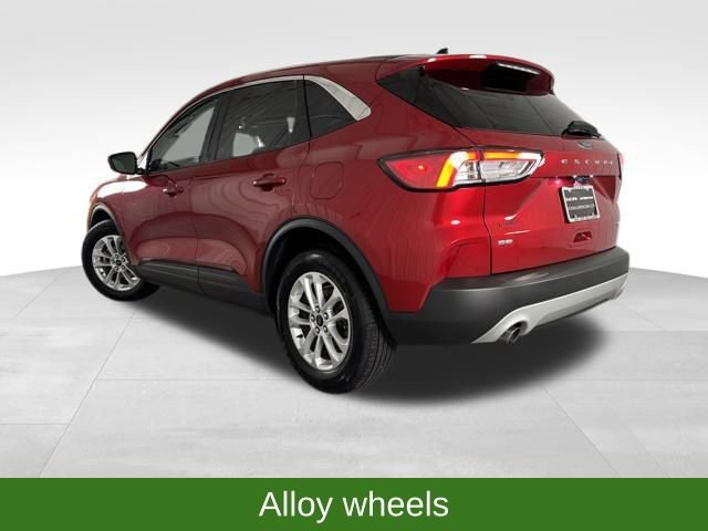 Used 2020 Ford Escape SE image 5