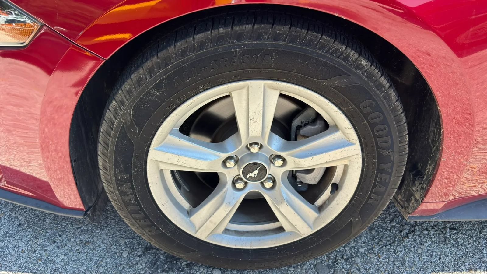 Used 2019 Ford Mustang Coupe RWD image 19