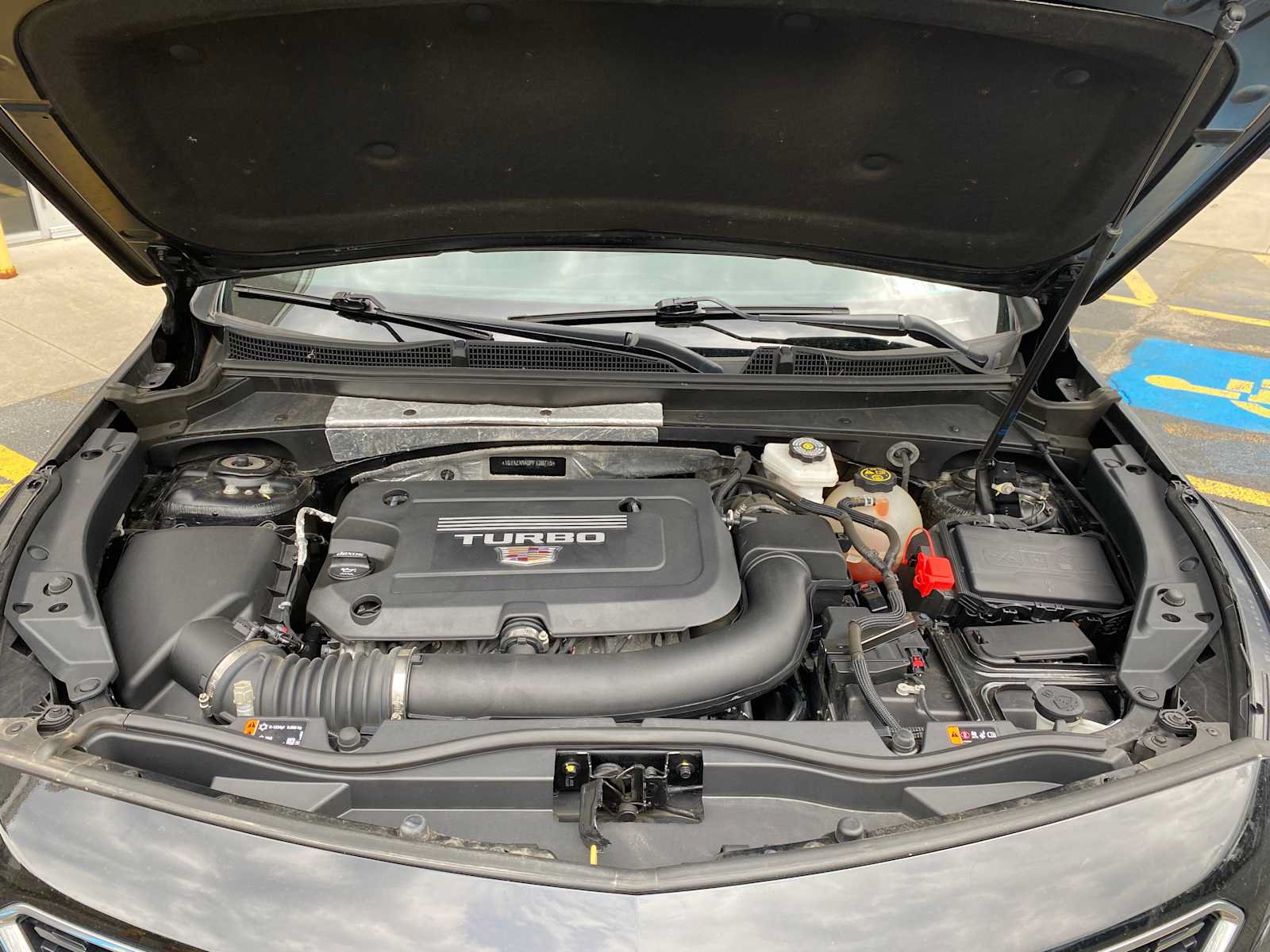 Used 2023 Cadillac XT4 Luxury w/ Cold Weather Package FWD image 6