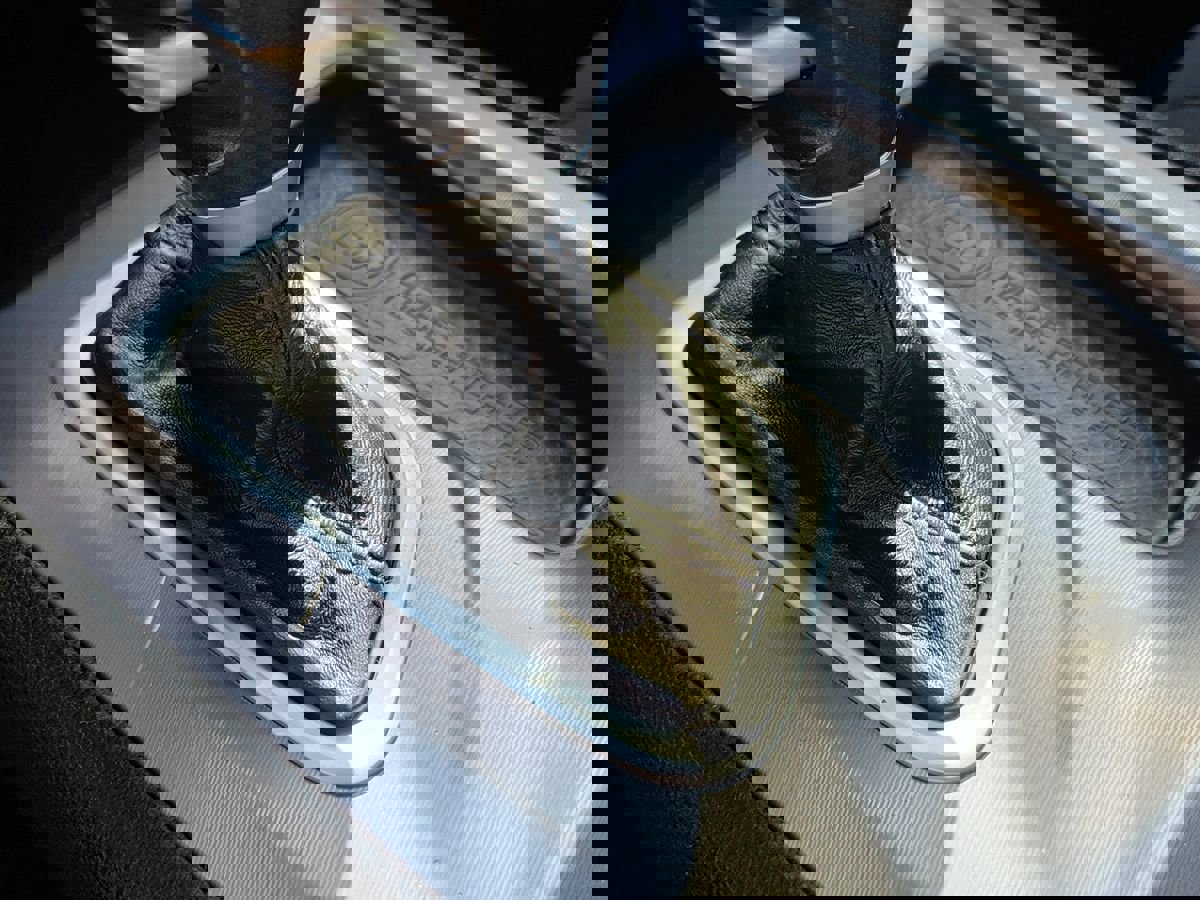 Used 2023 Dodge Charger GT image 37